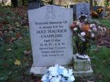 image of grave number 334816